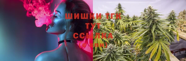 амф Балахна
