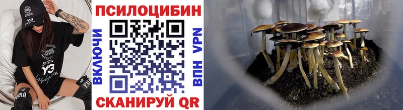 Галлюциногенные грибы мухоморы  Купить закладки  Свирск 
